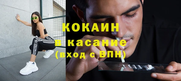 стаф Богородицк