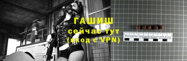 PSILOCYBIN Богданович