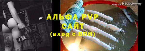 PSILOCYBIN Богданович