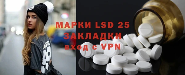 PSILOCYBIN Богданович