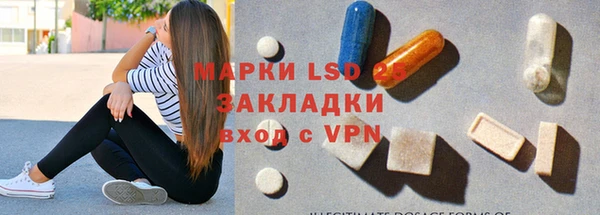 PSILOCYBIN Богданович