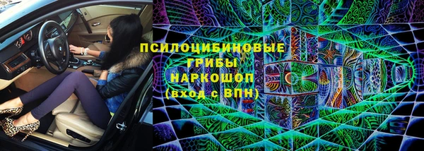 PSILOCYBIN Богданович